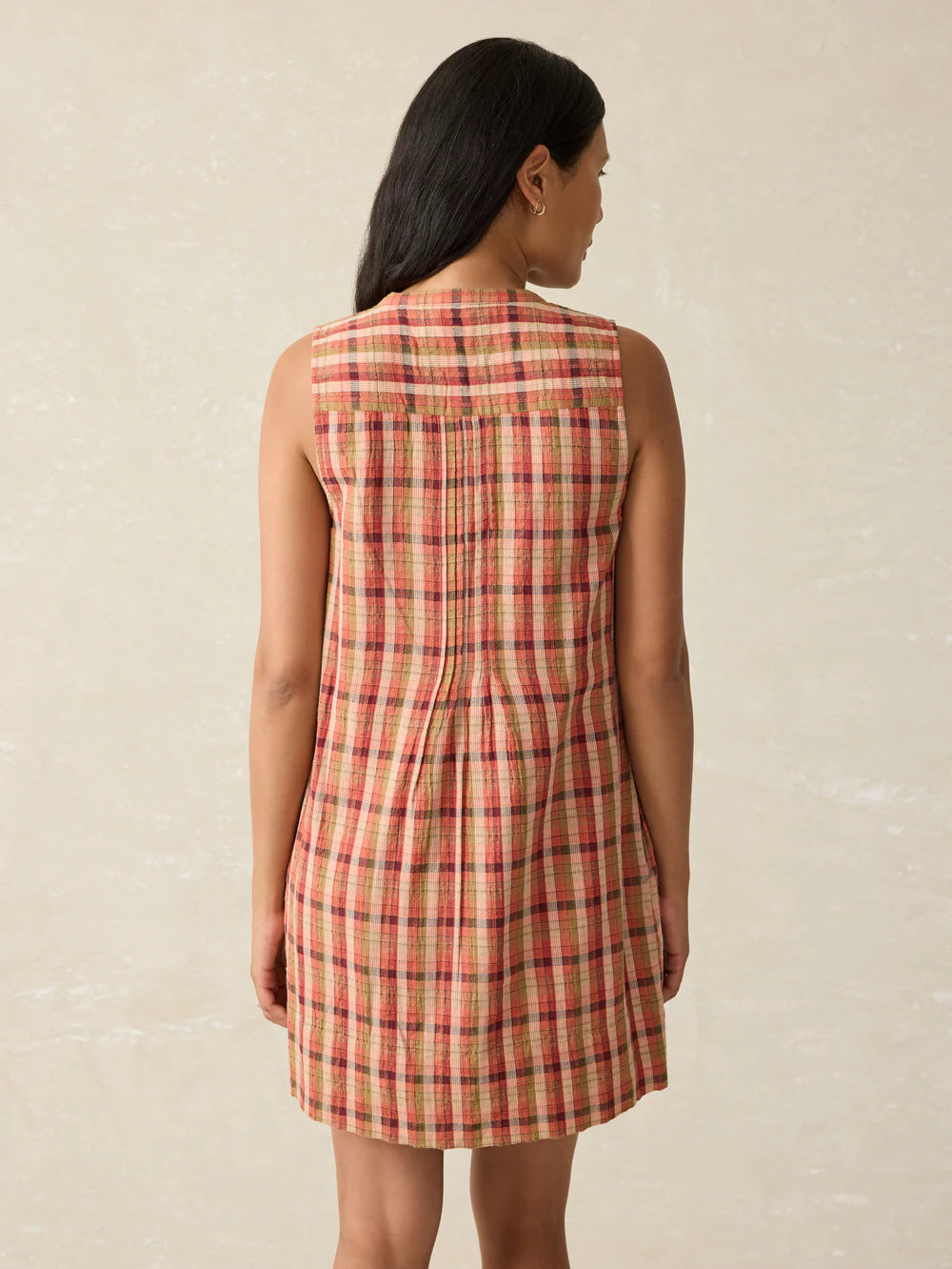 Back view of the Gingham Sleeveless Mini Dress by Faherty