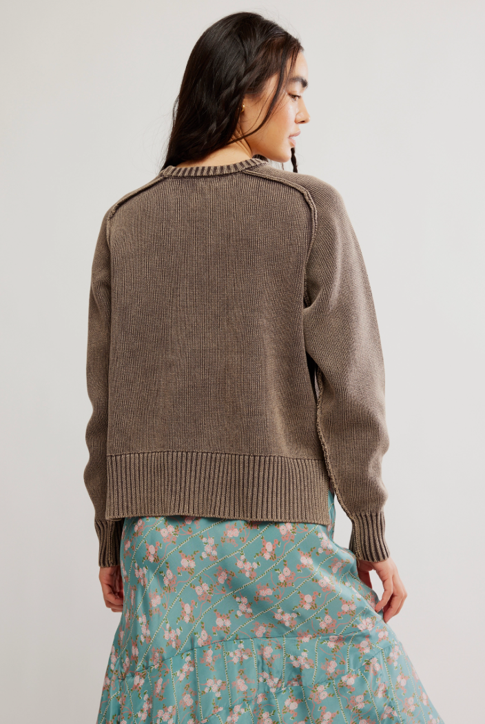 Free People Spring Street Pullover