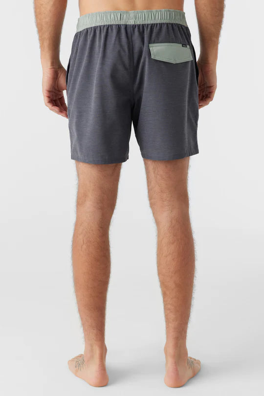 Back view of O'Neill's Solid Volley 16" Boardshorts in the color Graphite