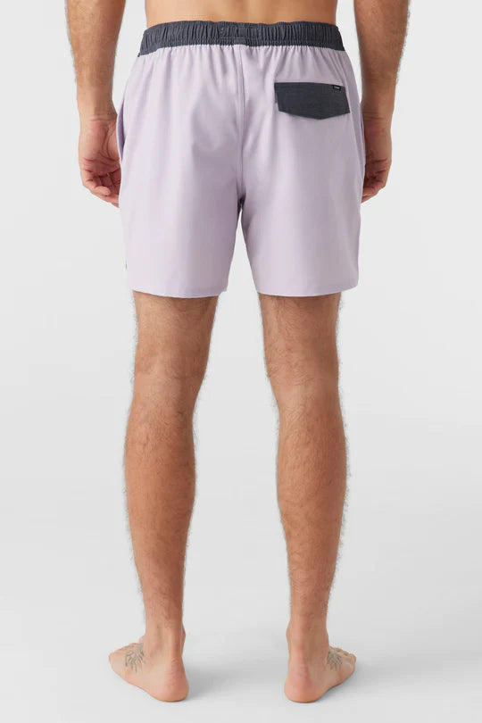 Back view of the O'Neill Solid Volley 16" Boardshorts in the color Iris