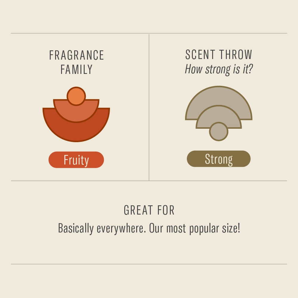 Fragrance info for P.F. Candle Co.'s 7.2 oz Sweet Grapefruit Soy Candle