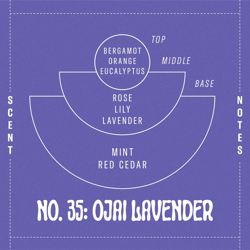 Scent notes for the Ojai Lavender Reed Diffuser include bergamot, orange, eucalyptus, rose, lily, lavender, mint and red cedar