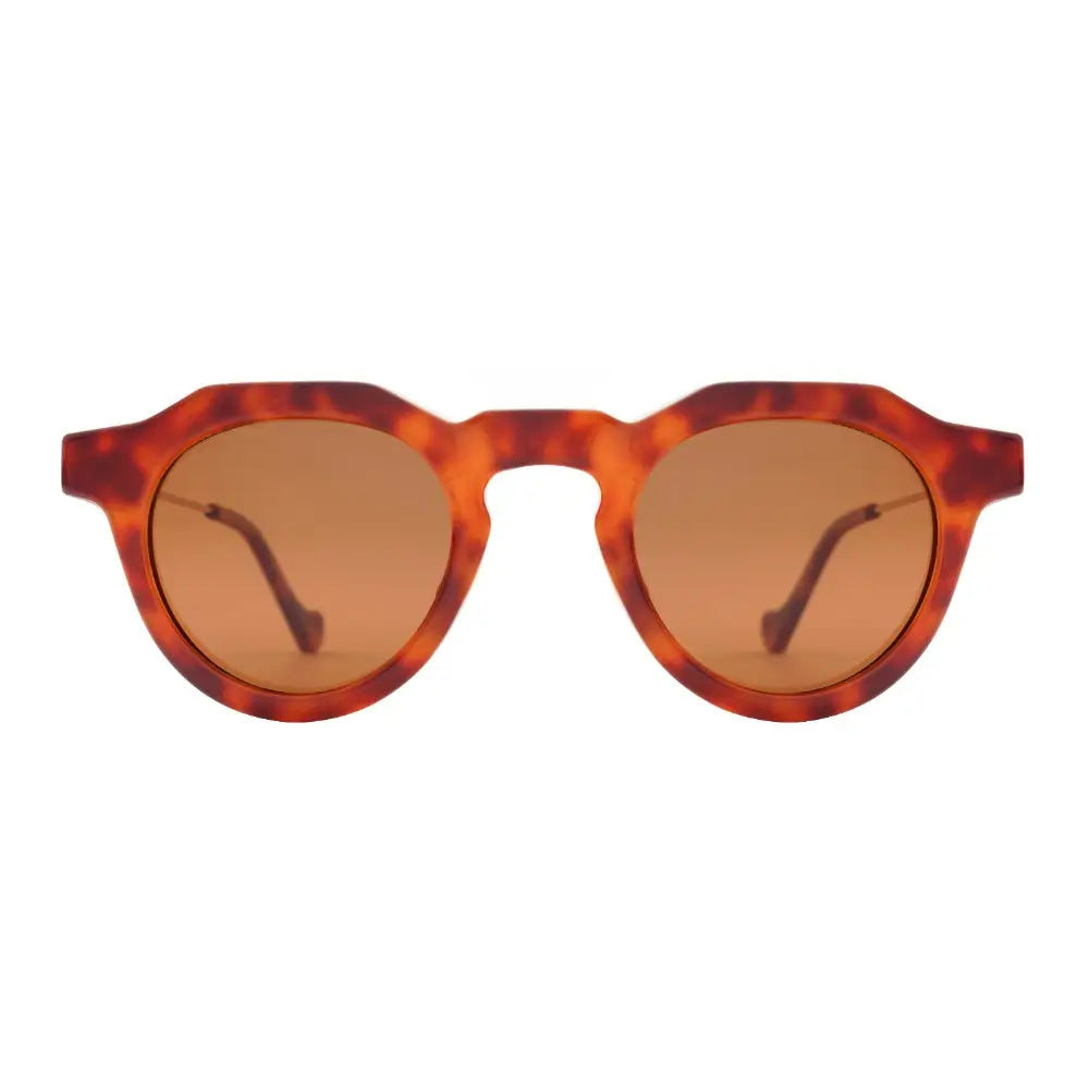 The Ryan Simkhai Eyeshop Koa Polarized Sunglasses in Tortoise/Brown