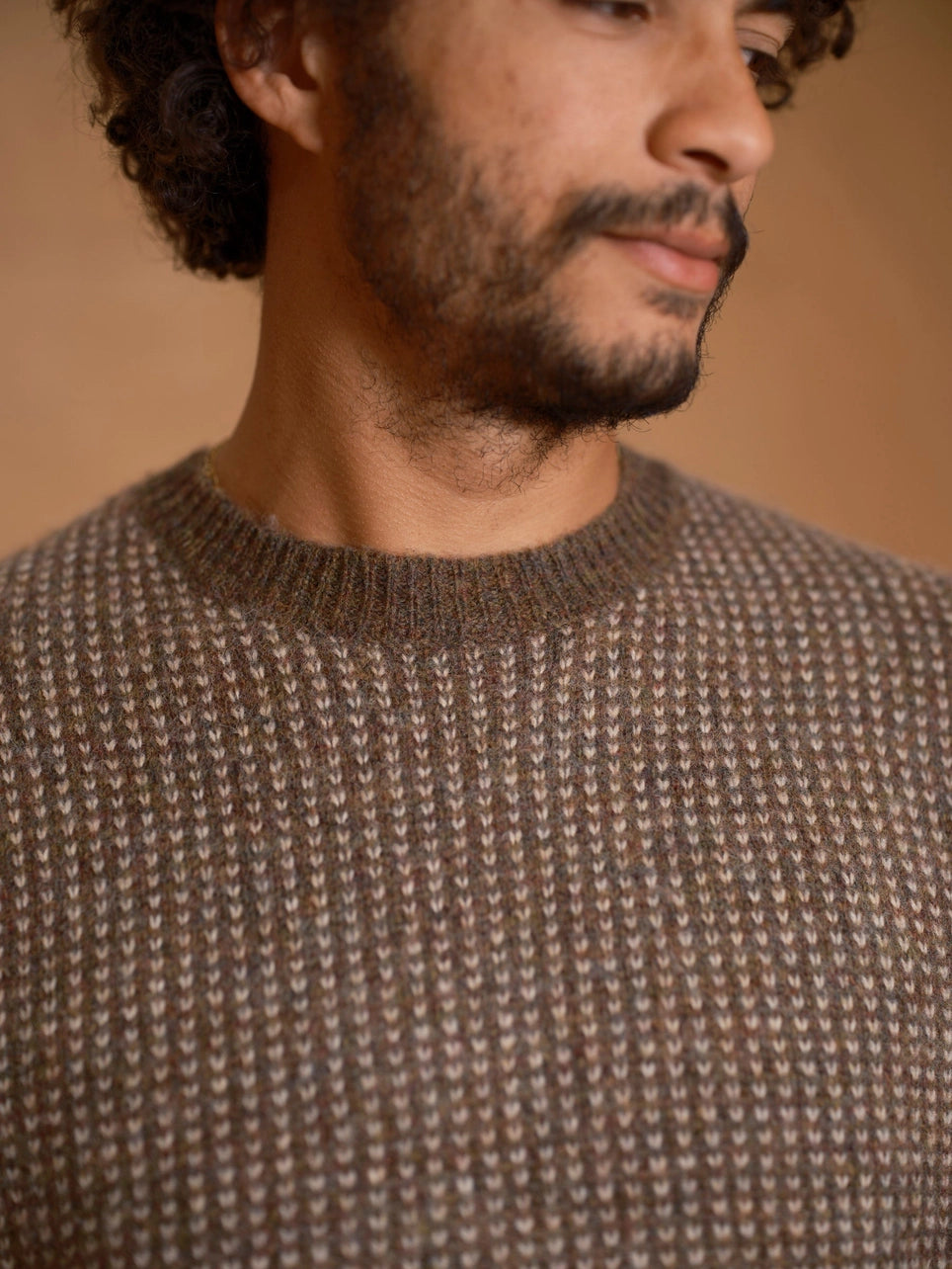 Mollusk Beacon Sweater