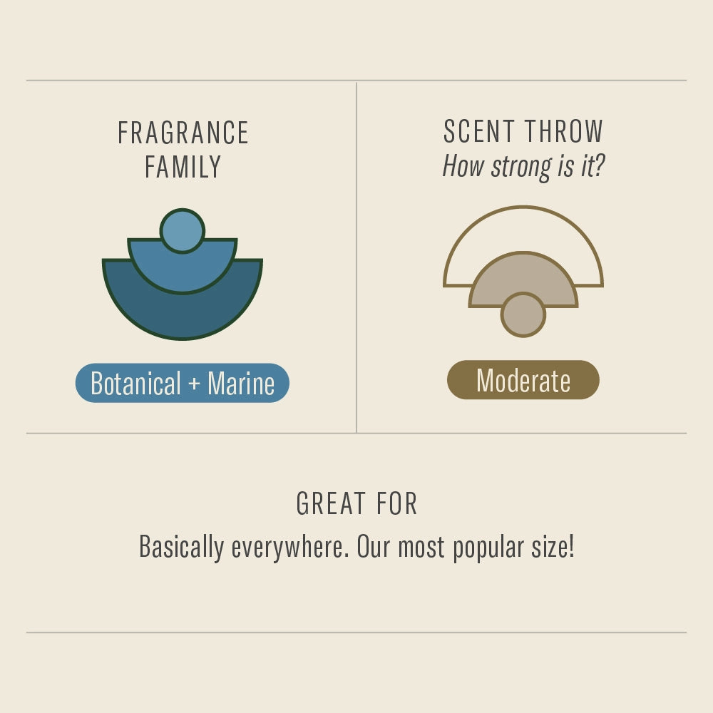 
                      
                        The P.F. Candle Co. Los Angeles Soy Candle is in the Botanical and Marine fragrance family with a moderate scent throw
                      
                    
