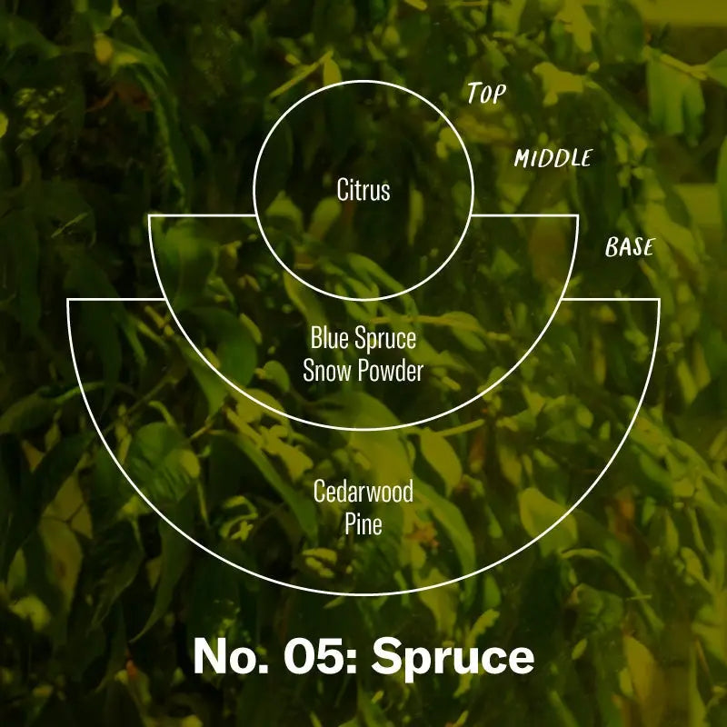 
                      
                        Scent notes for the Spruce Soy Candle by P.F. Candle Co.
                      
                    