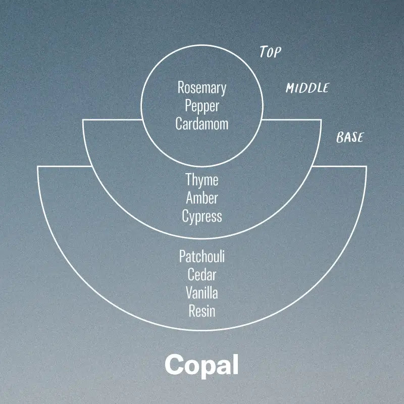 Scent notes for the Copal Soy Candle by P.F. Candle Co