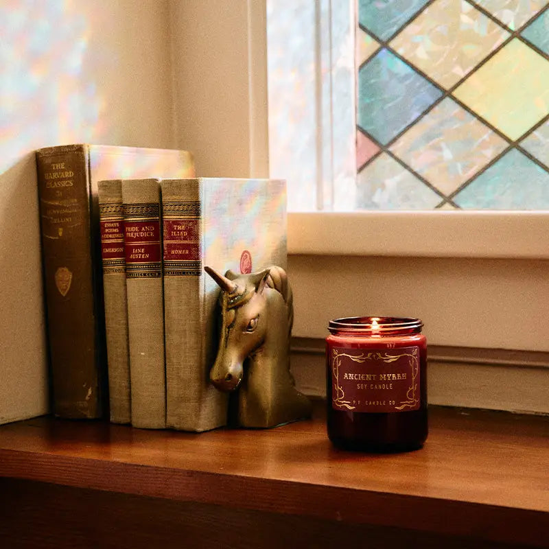 P.F. Candle Co. No. 11 Amber & Moss Standard Soy Jar Candle - Thumbnail 4