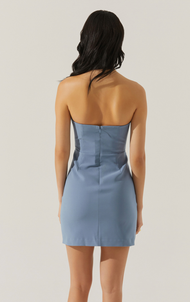 
                      
                        Women's slate blue mini dress with back zip closure
                      
                    