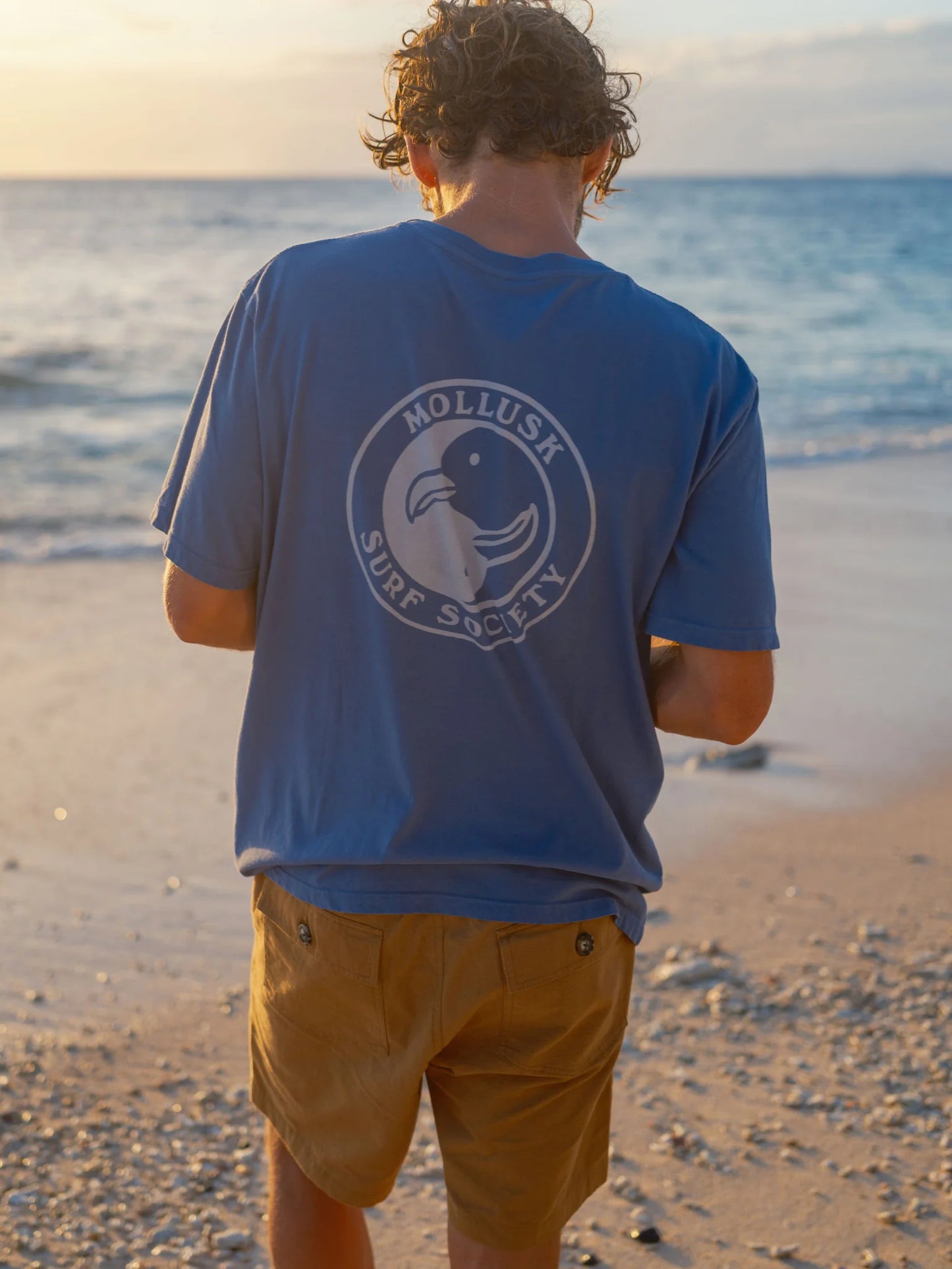 back view of the blue surf society short sleeve t-shirt by Mollusk