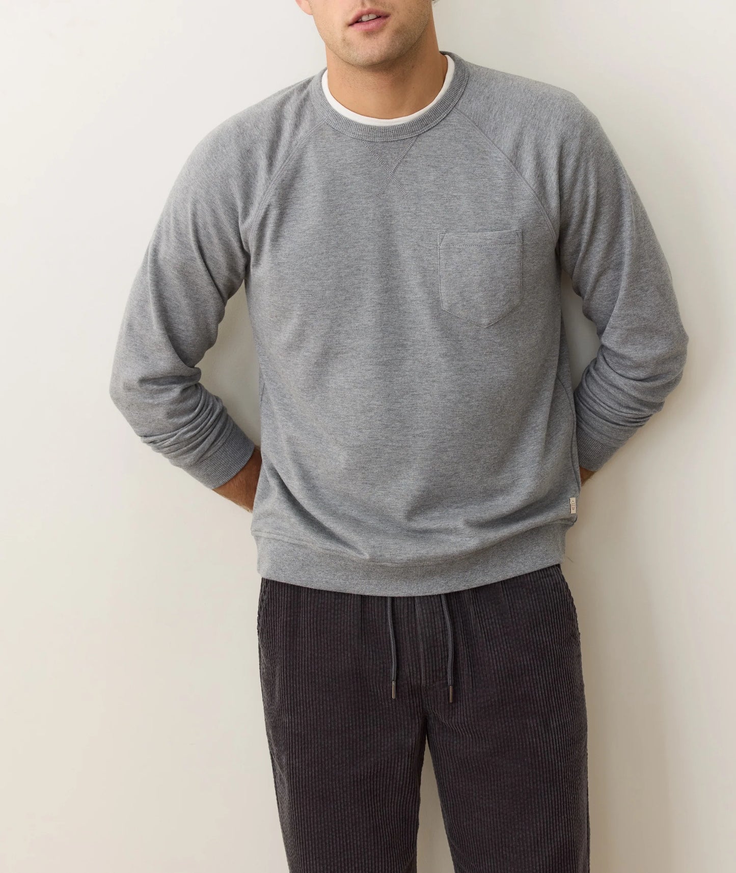 Marine Layer men's raglan shirt