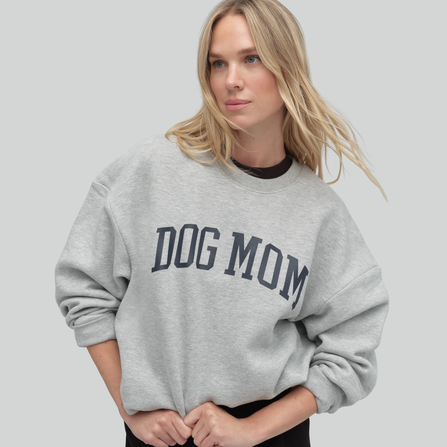 Favorite Daughter The Dog Mom Sweatshirt in Heather Grey/Navy, available now at Harbour Thread boutique