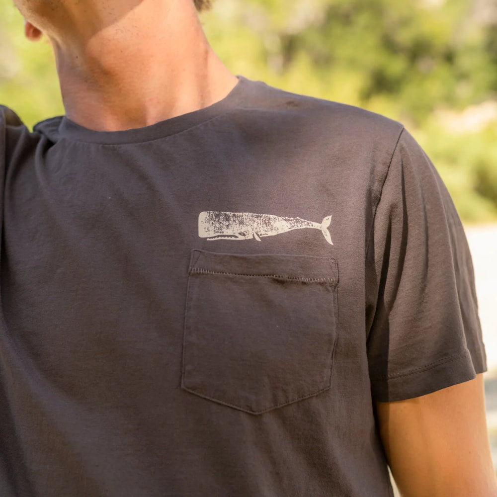 front view of the faded black short sleeve Olde Whale Tee by Mollusk