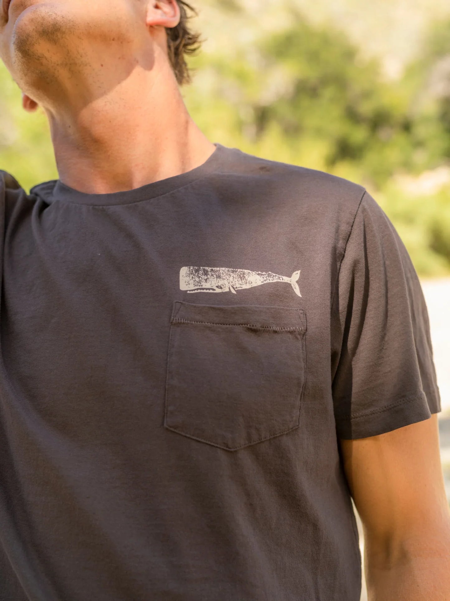 front view of the faded black short sleeve Olde Whale Tee by Mollusk