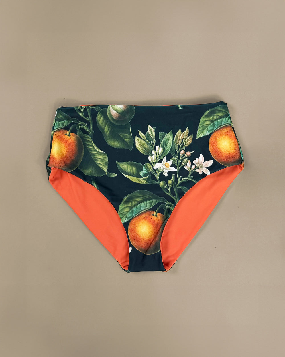 Saturday Swimwear x Harbour Thread Nova High Waisted Bottoms - Midnight Citrus