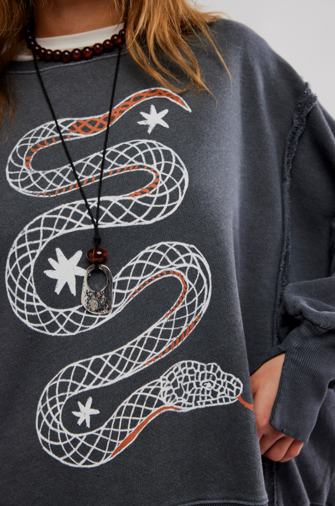 
                      
                        Free People Graphic Camden Pullover
                      
                    