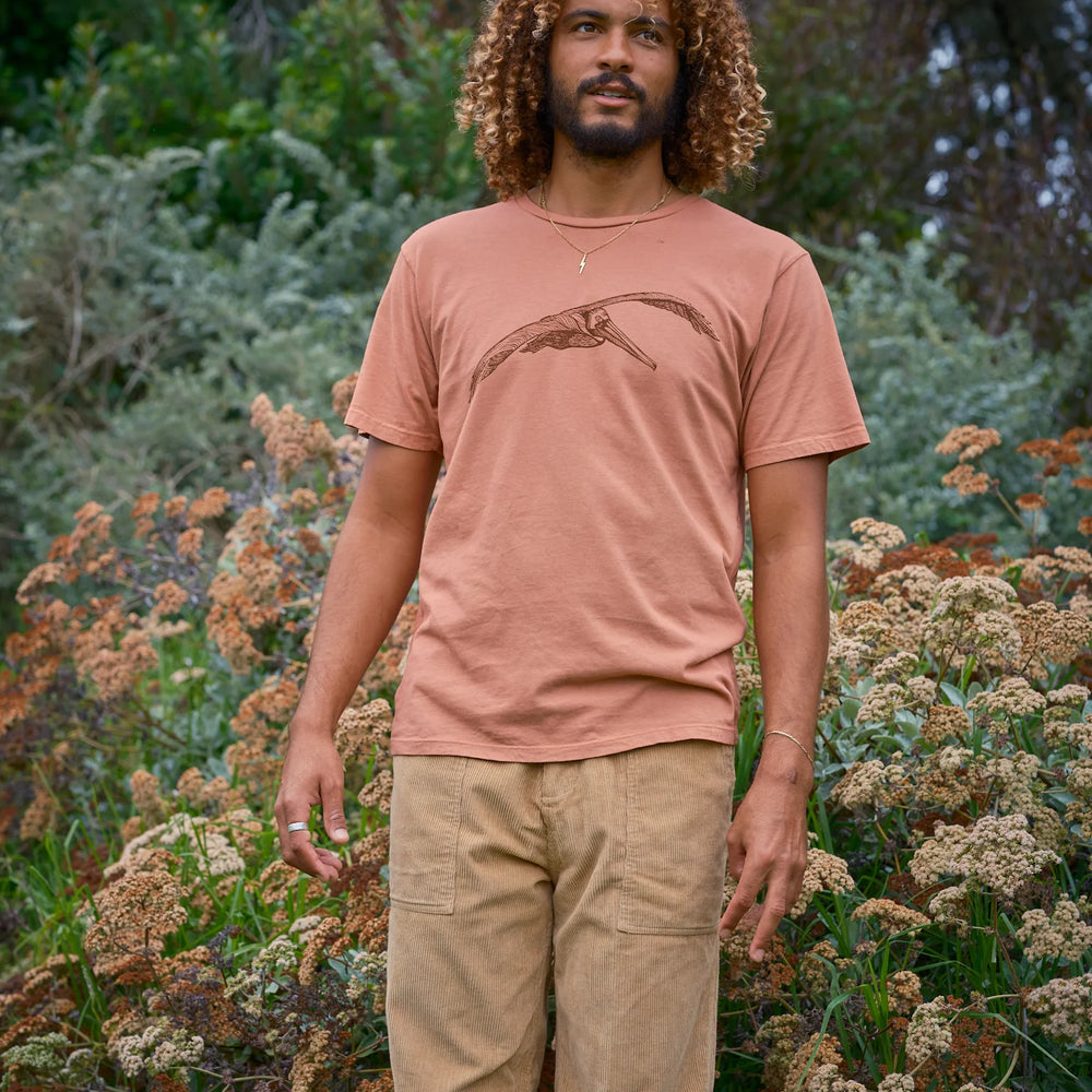 
                      
                        front view of man wearing the short sleeve Pelican Tee by Mollusk
                      
                    