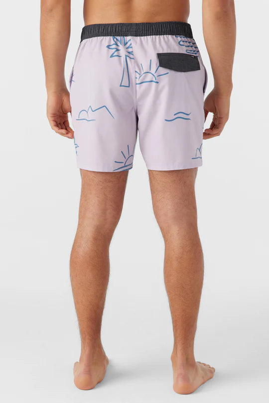 Back view of the Iris Volley 16" Swim Trunks by O’Neill