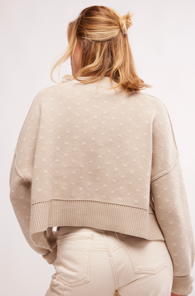
                      
                        Back view of the Oatmeal Combo Easy Street Patterned Crop Pullover by Free People
                      
                    