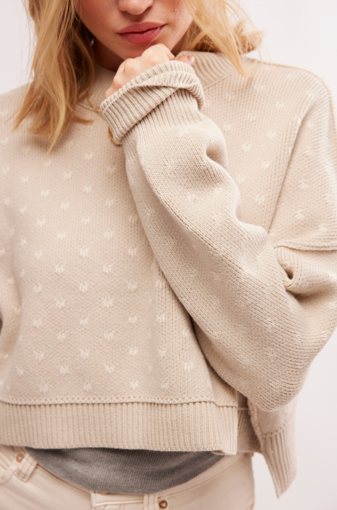 
                      
                        Design detail on the Oatmeal Combo Easy Street Patterned Crop Pullover by Free People
                      
                    