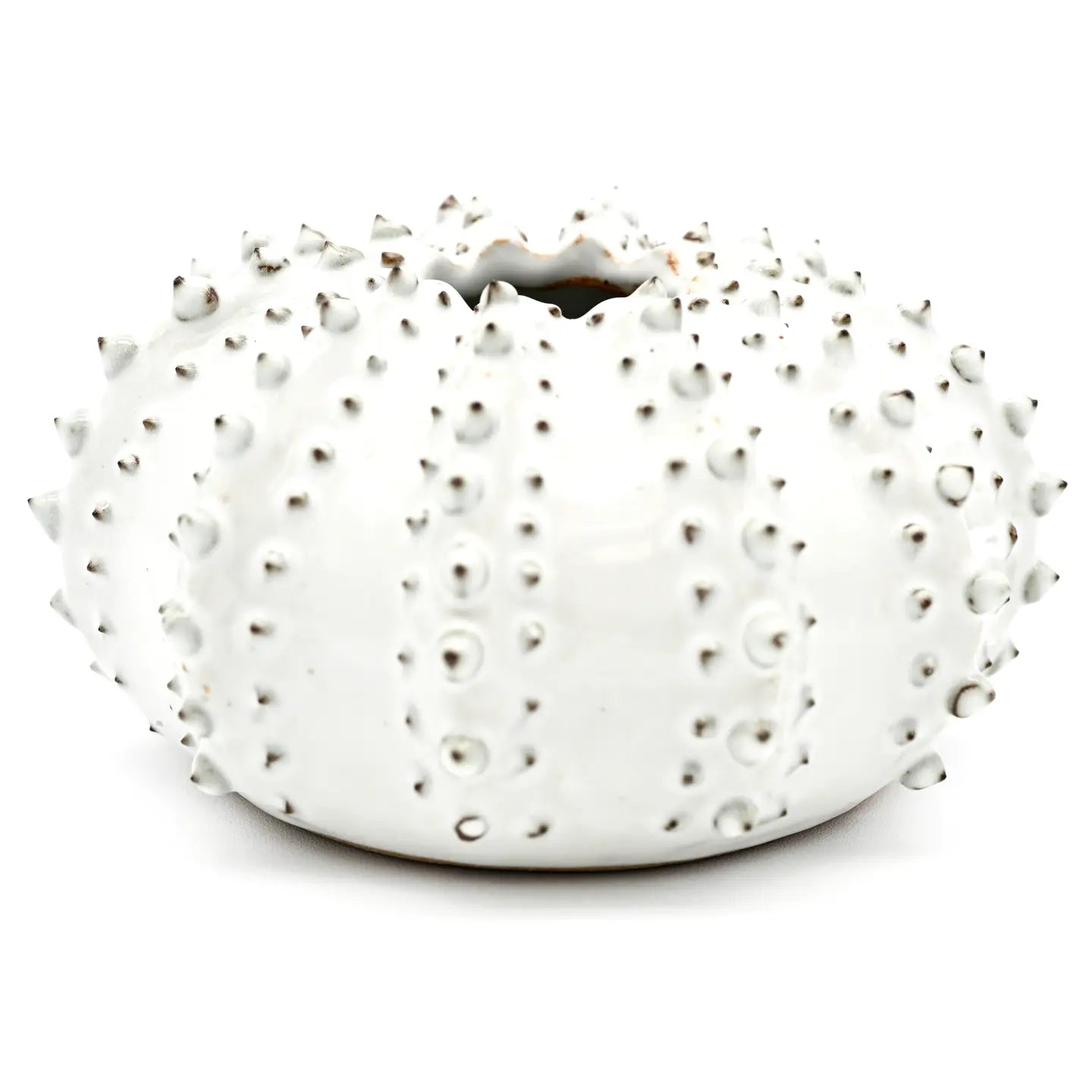 The White Sea Urchin Vase by Art Floral Trading