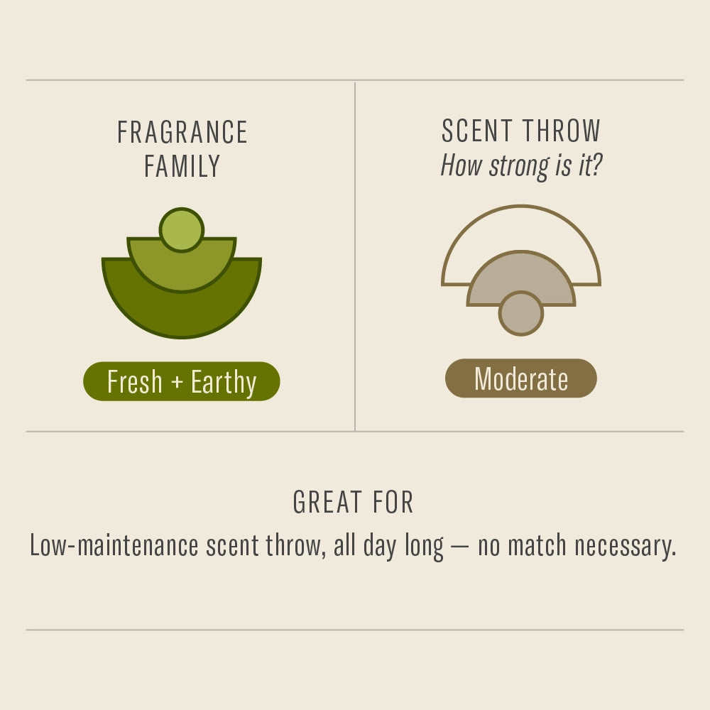 
                      
                        The P.F. Candle Co. Ojai Lavender Reed Diffuser is in the Fresh and Earthy fragrance family with a moderate scent throw
                      
                    