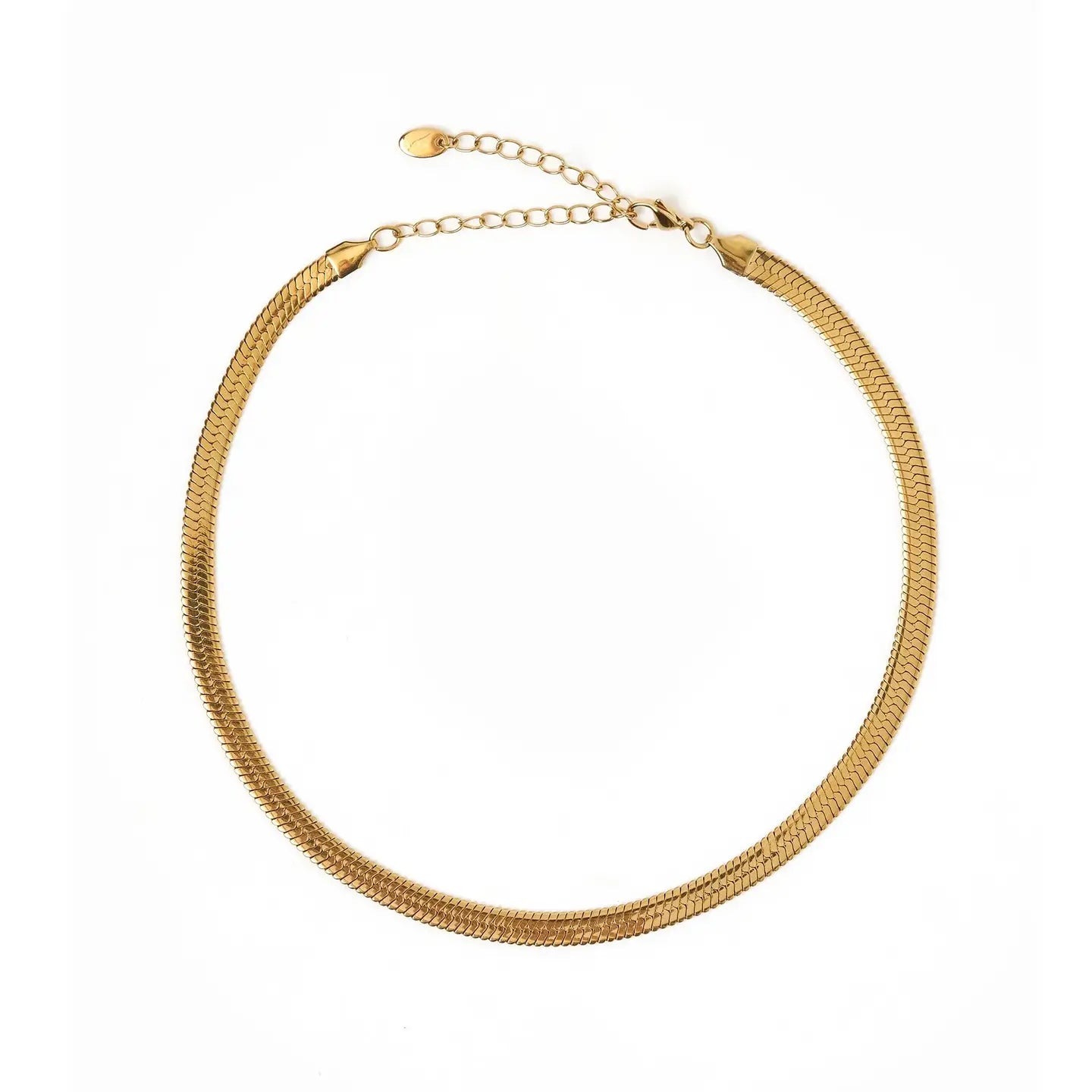 The Samara Gold Snake Chain Necklace by Arms of Eve