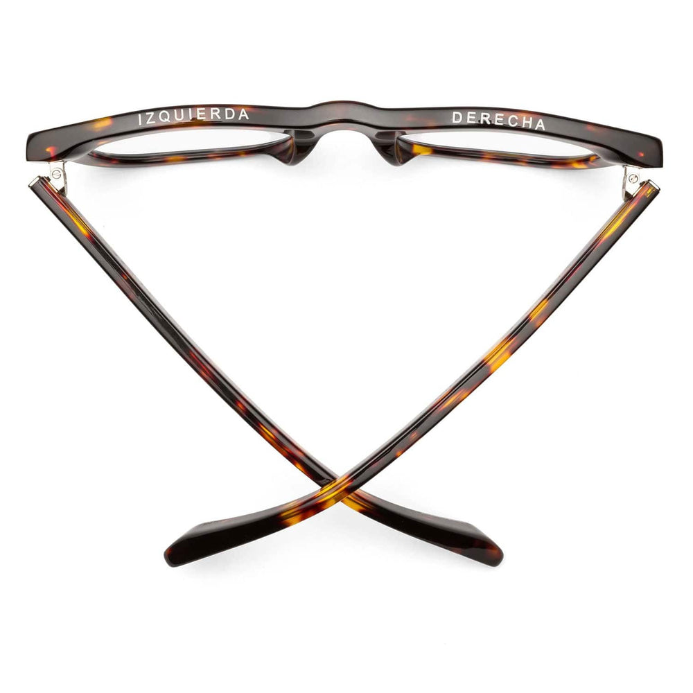 
                      
                        Top view of the CADDIS D28 Reading Glasses in the color Turtle
                      
                    