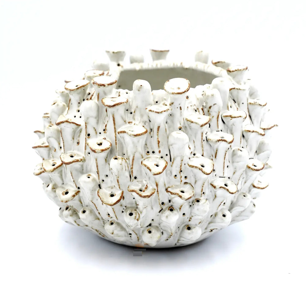 
                      
                        The White Sea Anemone Sculpture by Art Floral Trading
                      
                    