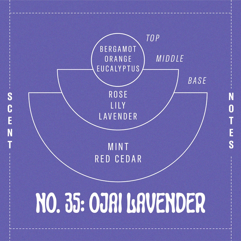 
                      
                        Fragrance breakdown for P.F. Candle Co. Ojai Lavender Soy Candle - 7.2oz
                      
                    