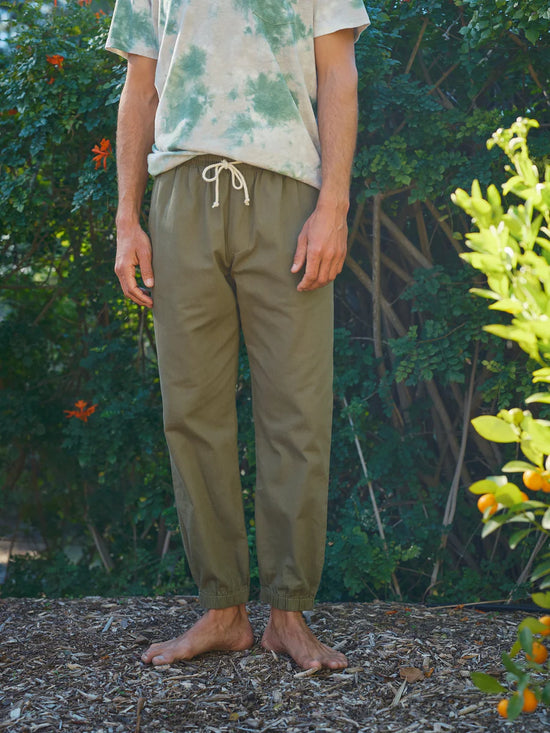 Mollusk's Jeffrey Pants in the color Faded Mash Green