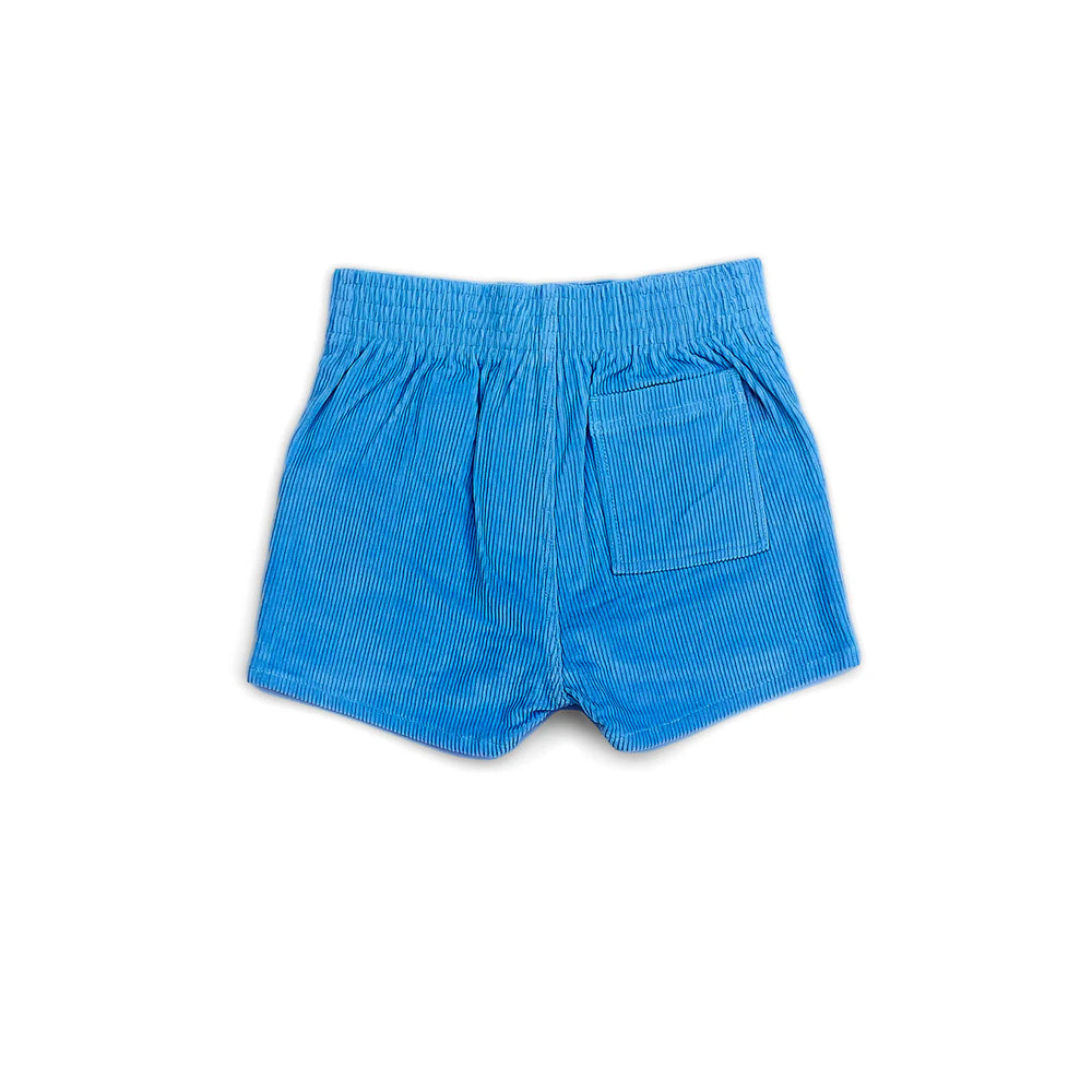 Back view of the Hammies Shorts in Blue Poppy